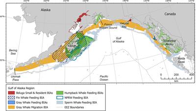 Biologically Important Areas II for cetaceans within U.S. and adjacent waters – Gulf of Alaska Region